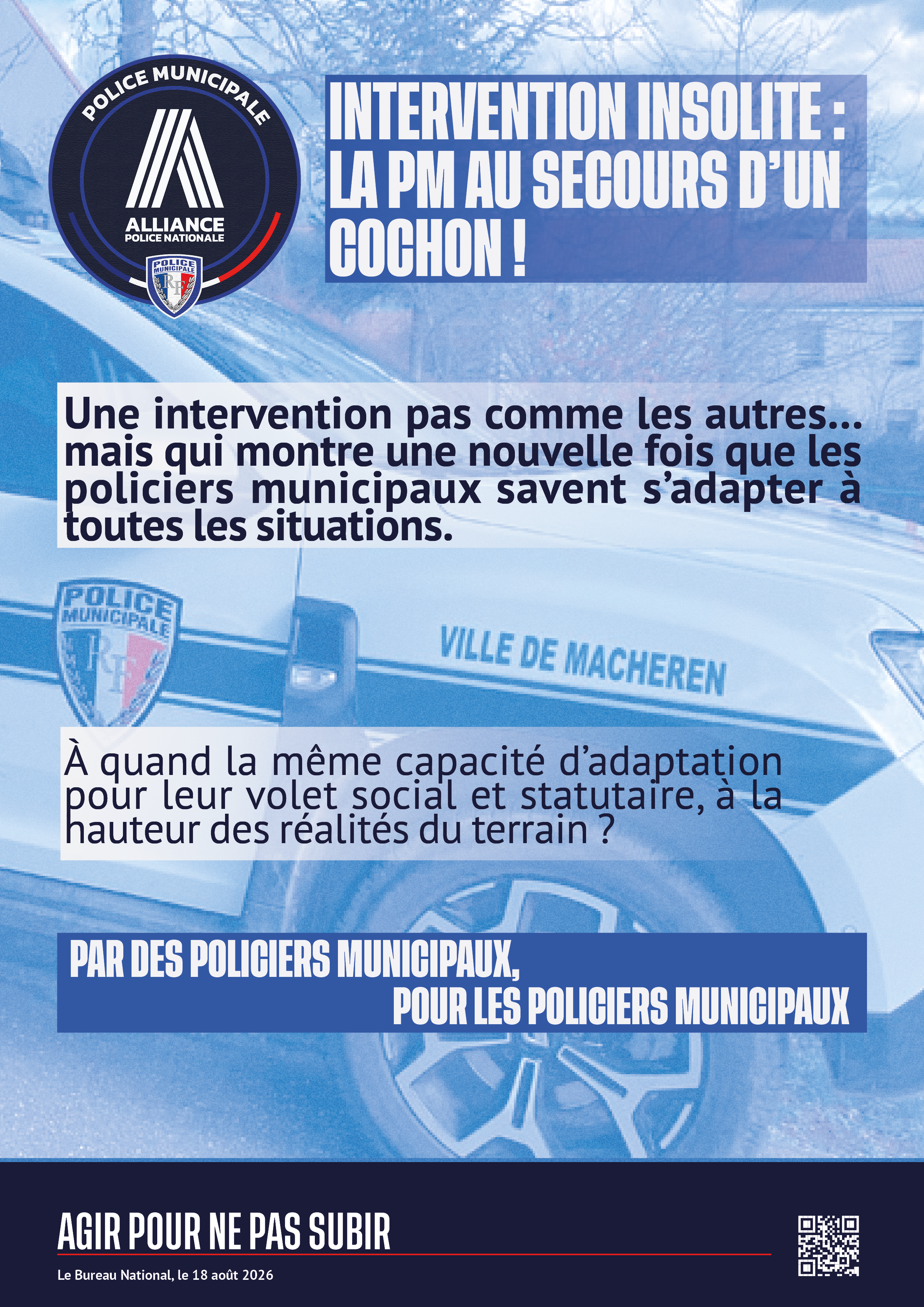 intervention insolite : la pm au secours d'un cochon !